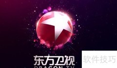 番茄台是哪个电视台？