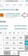 企业信息查询方法指南