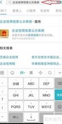 企业信息查询方法指南