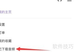 爱发电音频下载设置指南