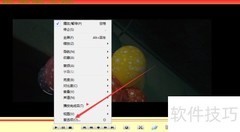 变色龙播放器如何保存播放记录