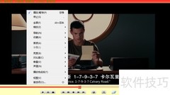 变色龙播放器隐藏标题文件信息