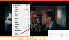 变色龙播放器显示文件名设置