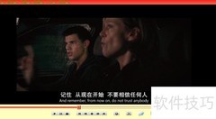 变色龙播放器进程优先级设置