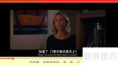 变色龙播放器首选项设置指南