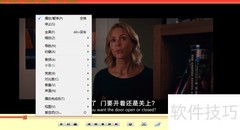 变色龙播放器首选项设置指南