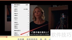 变色龙播放器首选项设置指南