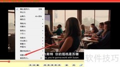 变色龙播放器置顶设置方法