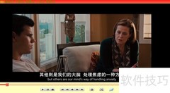变色龙播放器取消置顶设置方法