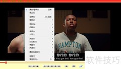 变色龙播放器置顶设置方法