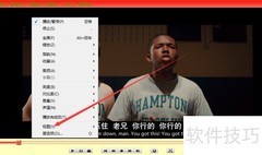 变色龙播放器置顶设置方法