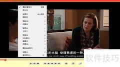 变色龙播放器取消置顶设置方法