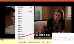 变色龙播放器取消置顶设置方法