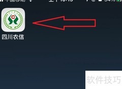 四川农信老年版设置方法