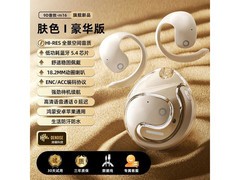 萨勒芬妮AI降噪蓝牙耳机39元