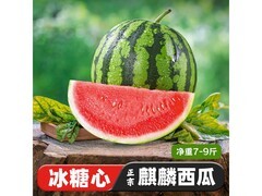 京觅沙地麒麟少籽甜西瓜，原价32.9元，券后27.9元！