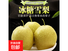 河北正宗雪花梨2斤仅7.99元，果园直发润肺佳选