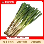 新鲜精品铁杆大葱2斤整箱，仅3.9元速来抢！