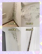   回南天救命指南：一台德业除湿机= 少花3万装修费