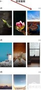 小米画报历史早安图查看方法