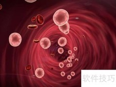 D组术语区别解析
