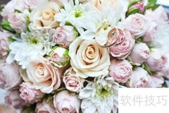 贸易术语选用指南