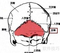 别让宝宝头睡扁，圆头更健康
