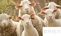 托斯卡纳毛揭秘