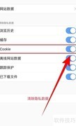 关闭Atom浏览器Cookie方法