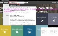 Lynda字幕提取指南