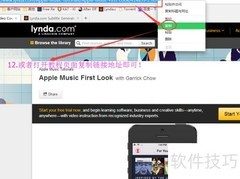 Lynda字幕提取指南