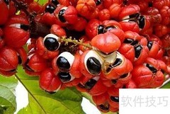 瓜拉纳：天然能量之源