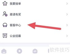 蓝颜查看在线客服方法