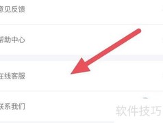蓝颜查看在线客服方法