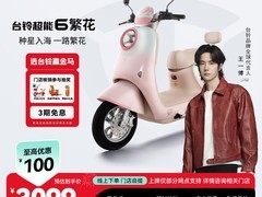 台铃繁花复古智能电动车3199元