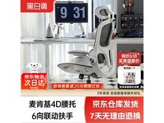 黑白调P2Pro霜白人体工学椅