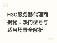 H3C服务器代理商揭秘：热门型号与适用场景全解析