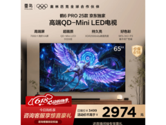 雷鸟65S595C Pro电视优惠，低至2843元