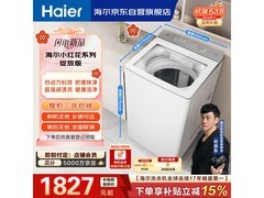 海尔小红花波轮洗衣机10kg