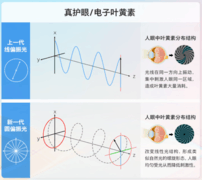 AI时代，一台好的办公显示器到底该怎么选？