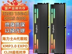 金百达DDR5星刃内存6000MHz