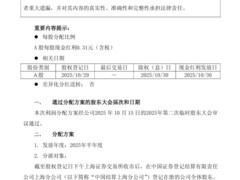 赛力斯2025年半年度拟派现5.06亿元 问界品牌交付超14.7万辆