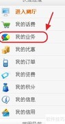 手机业务查询指南