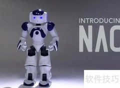 NAO机器人跨平台跨语言方案