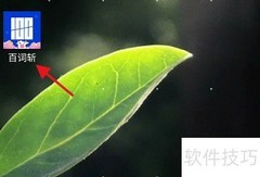百词斩听力词汇测试方法