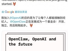 OpenClaw创始人加盟OpenAI，项目移交基金会持续开源