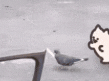 战舰联盟驱逐舰主炮射界全解析