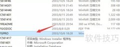 Visio安装与使用指南