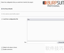 Burp设置请求头参数方法