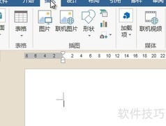 Word中插入网络视频教程